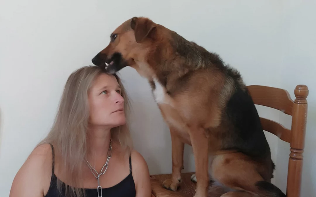 La dominance chien homme