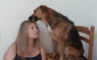 La dominance chien homme