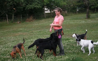Le métier d’éducateur canin